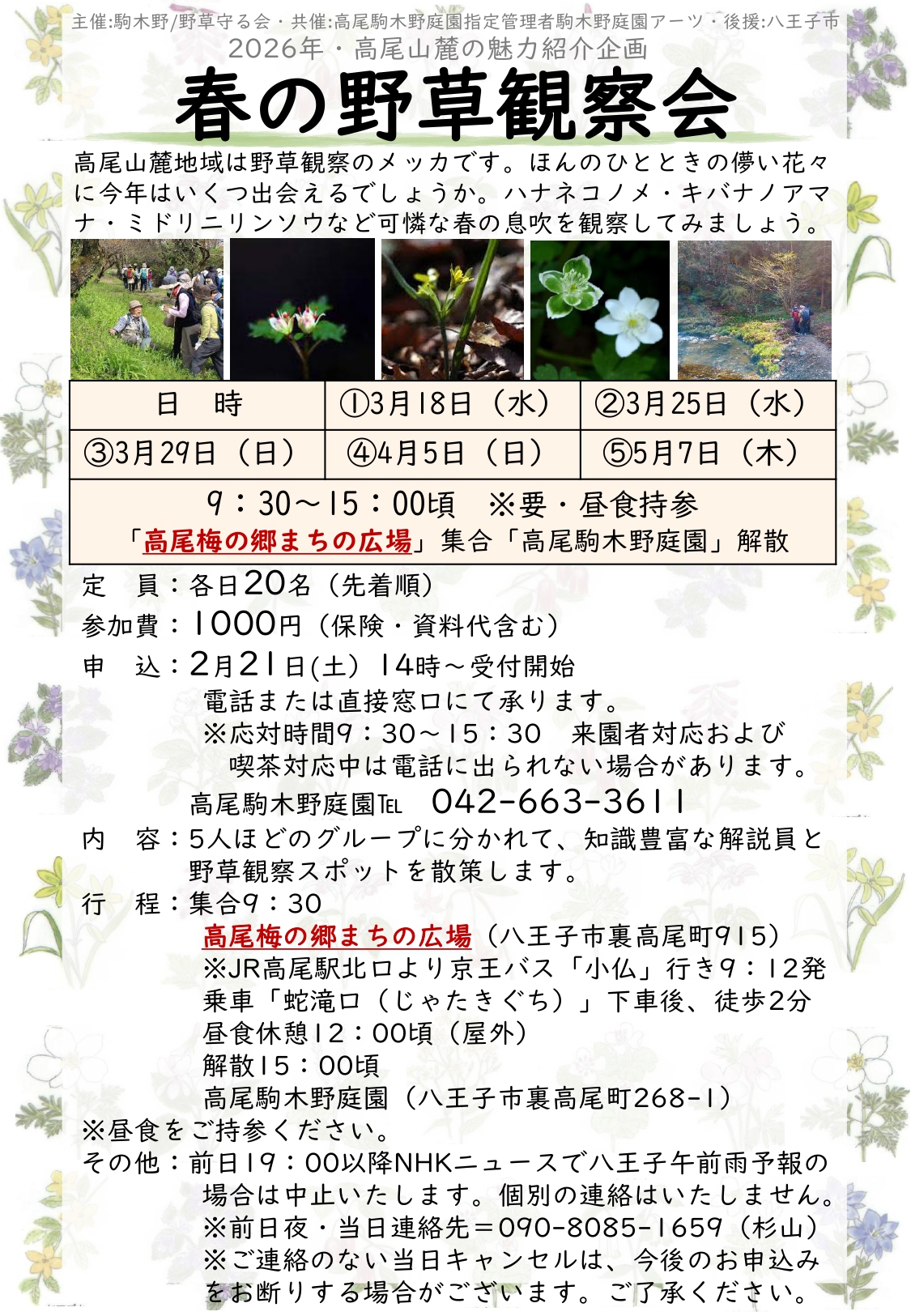 春の野草観察会～2026年高尾山麓の魅力紹介企画～
