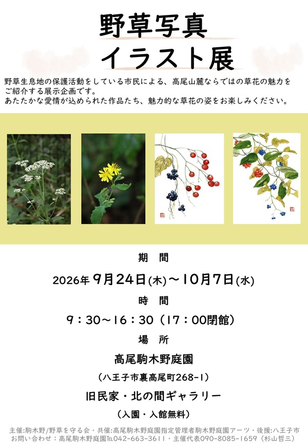野草写真・イラスト展