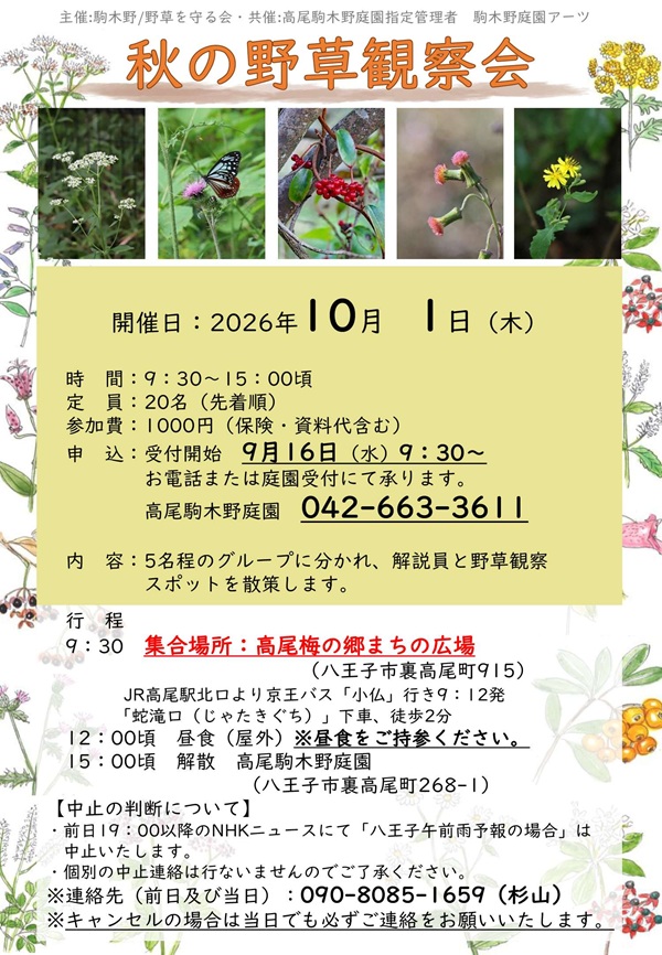 秋の野草観察会