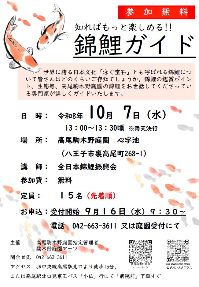 【先着受付】錦鯉ガイド